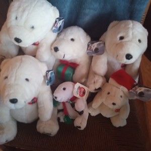 Meet your Posher, Patrick